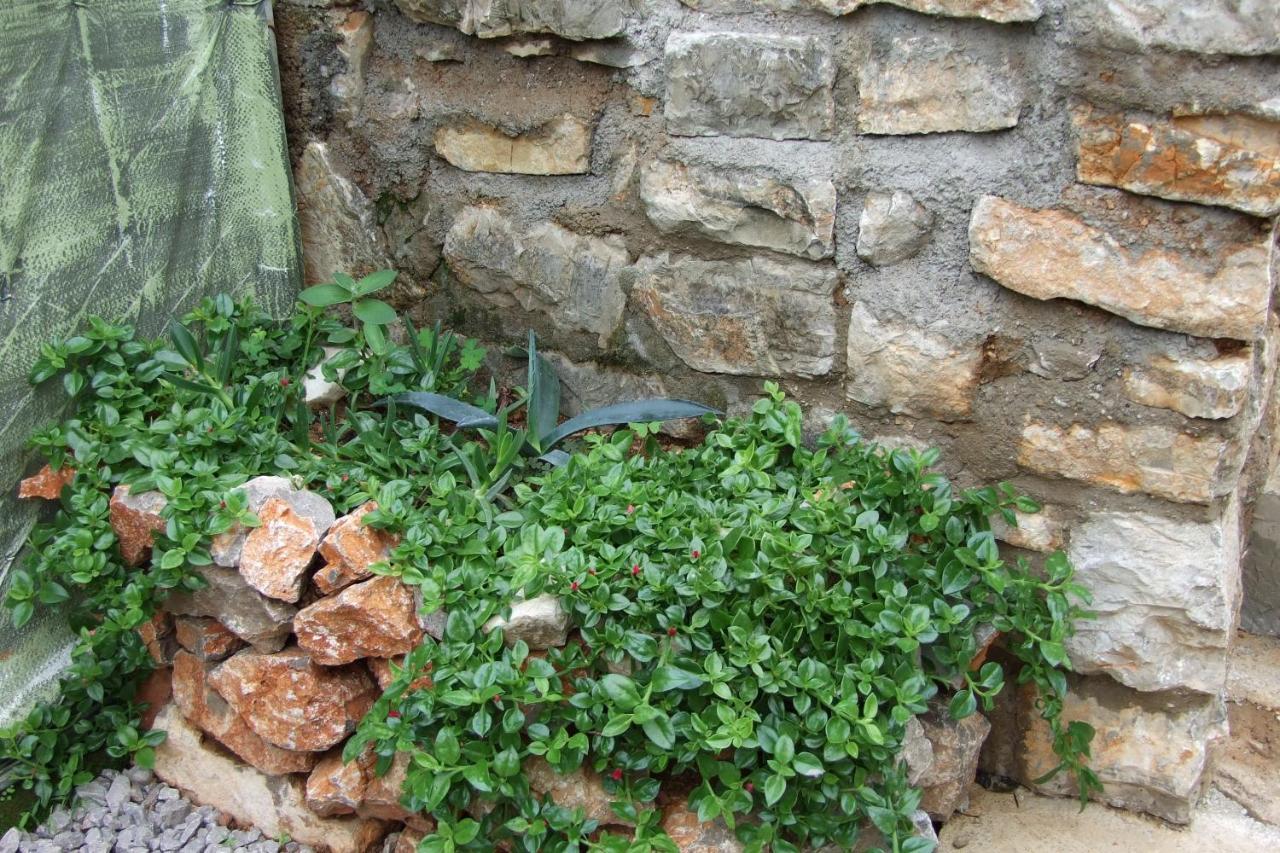 Casa Sergio & Maison d'hôtes Budva