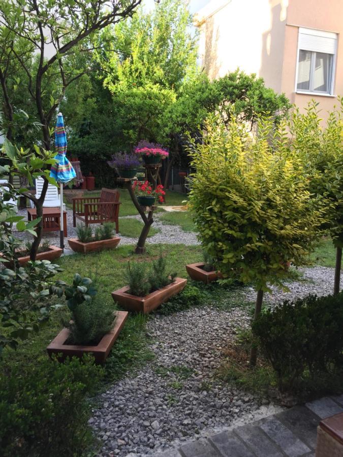 Guest house Casa Sergio & Budva