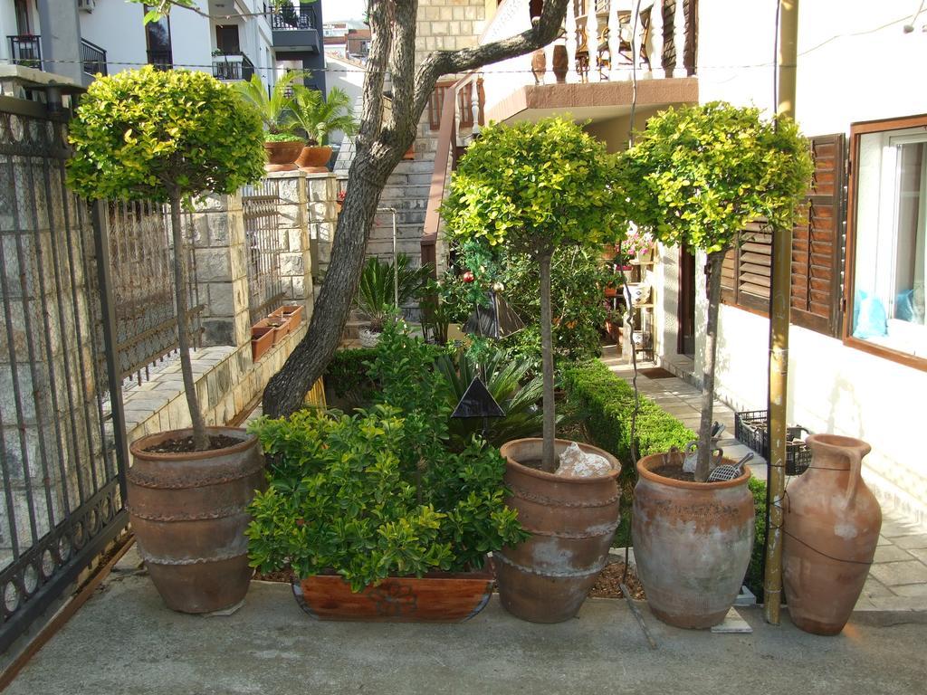 Guest house Casa Sergio & 3*